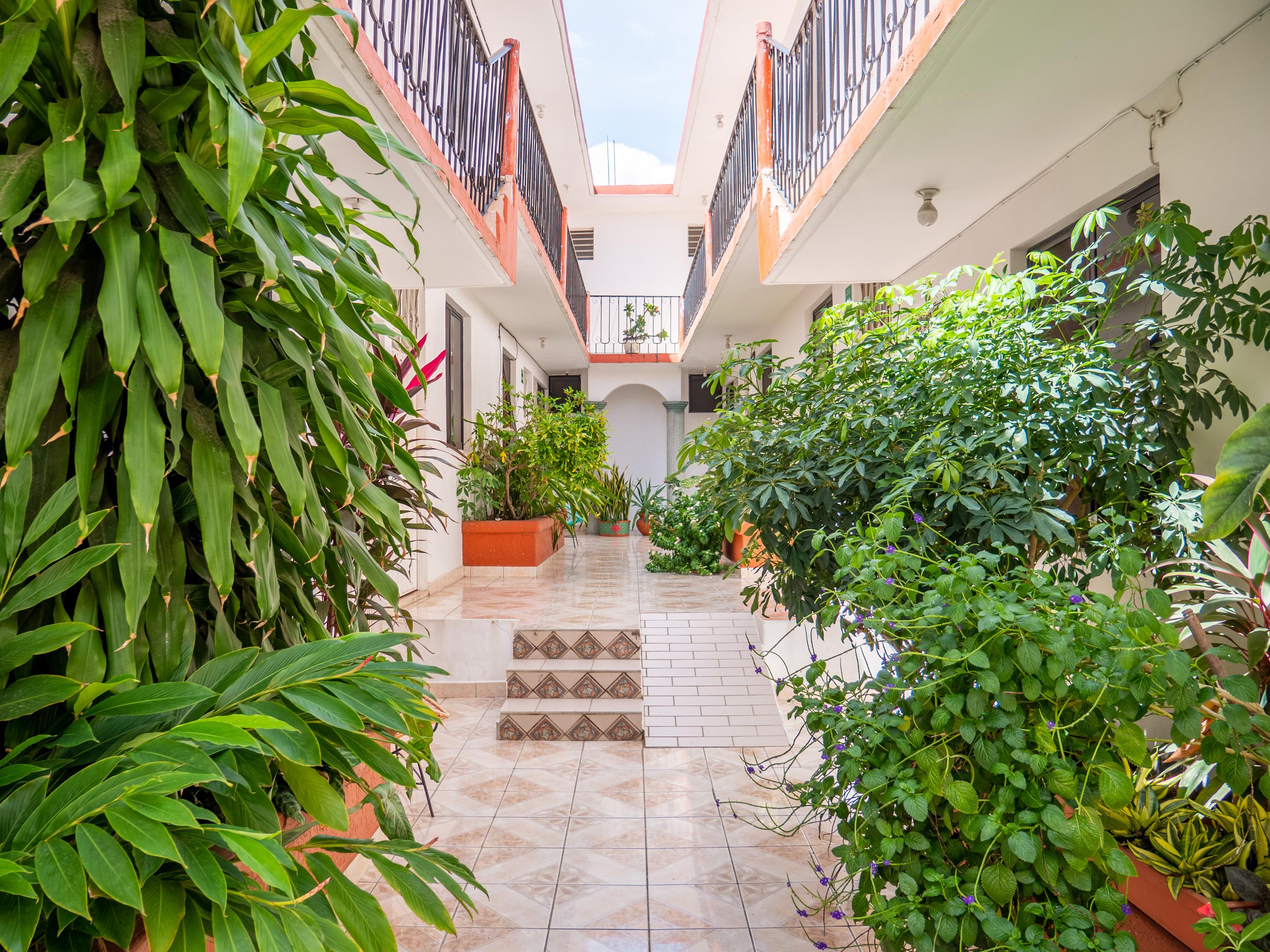 Oyo Hotel Arena Surf, Puerto Escondido エクステリア 写真